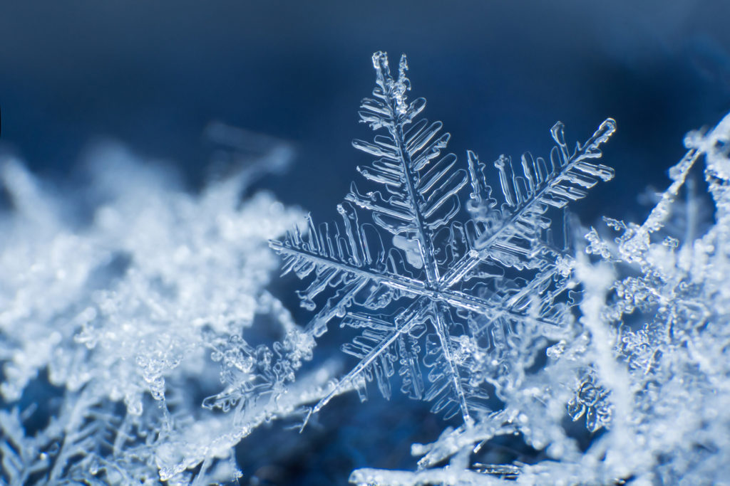 Snowflake. Winter season for senior photos.