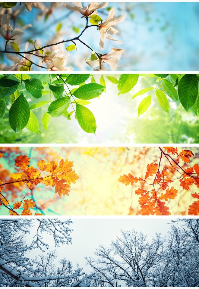 Seasons: fall, winter, spring, and summer.